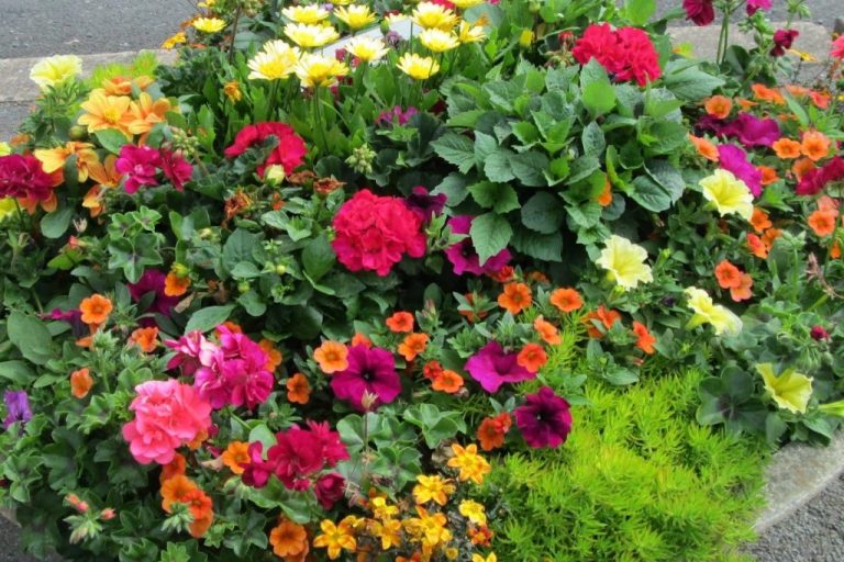 SusWot recycling stall at Westbury-On-Trym Flower show