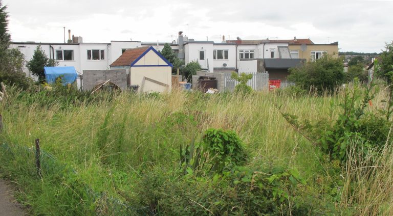 Stoke Lane Community Garden Open Day