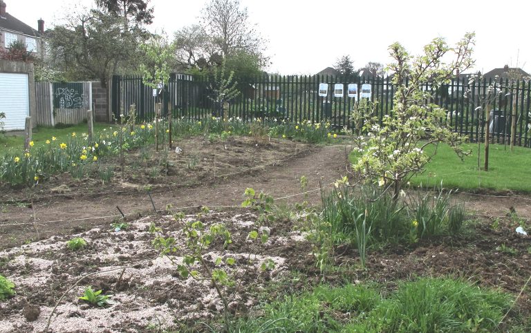 Special Community Garden working party Friday 18th May 16:00 – 17:00