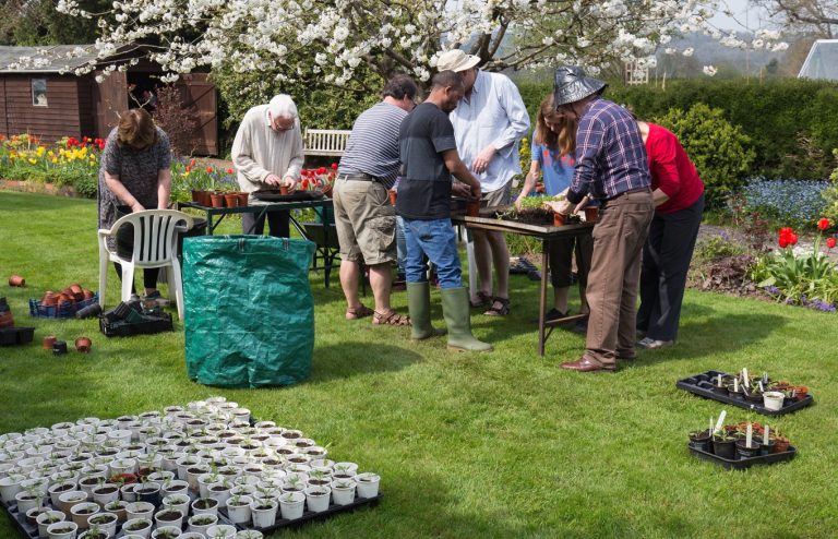 Potting Along