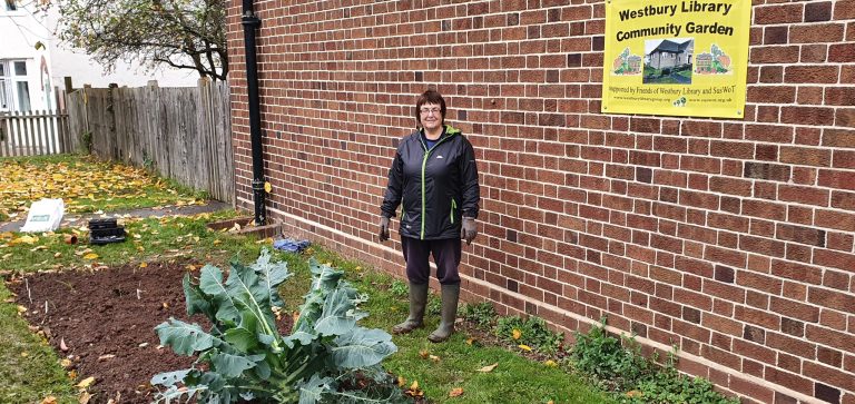 Library Garden Planted up for the Winter