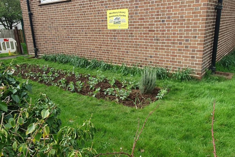 Library Garden