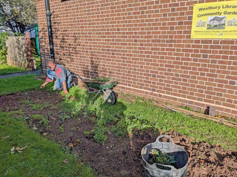 Library Garden news